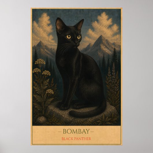 Midnight Majesty: Bombay Cat ポスター (正面)