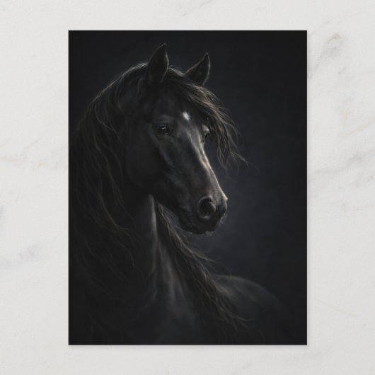 Midnight Sky | Horse Art | Postcard ポストカード (正面)