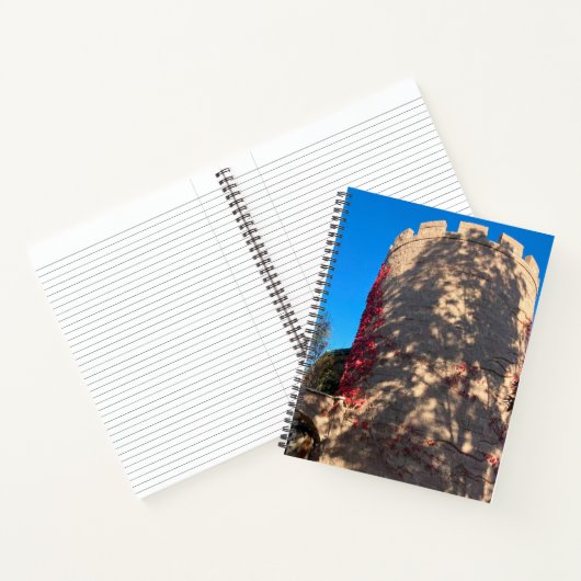 Mifflin Keep Tower ノートブック (内部)