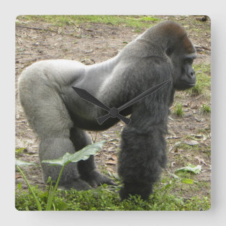 Mighty Gorilla Clock スクエア壁時計