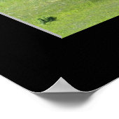 "Mighty Live Oak" ポスター (角)