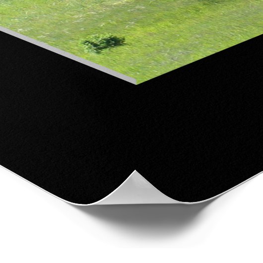 "Mighty Live Oak" ポスター (角)