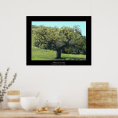 "Mighty Live Oak" ポスター (キッチン)