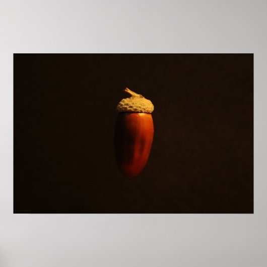 Mighty Oak wapcnポスター ポスター (正面)