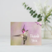 Mignon colibri posé pour dire merci ポストカード (スタンド正面)