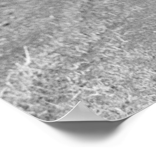 Migrant Walking – 1935 ポスター (角)