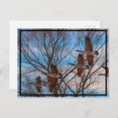 MIgration ポストカード (正面/裏面)