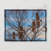 MIgration ポストカード (正面)