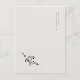 Migratory Swallow- Naturalist Menagerie Archive  ポストカード