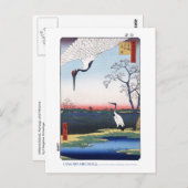 Mikawaの島の郵便はがき ポストカード (正面/裏面)