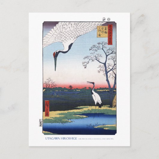 Mikawaの島の郵便はがき ポストカード (正面)