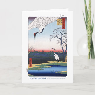 Mikawaの島カード カード