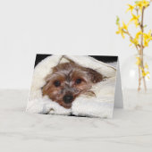 Mikayla カード (黄色い花)