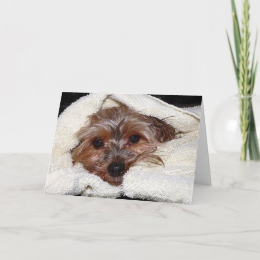 Mikayla カード (正面)