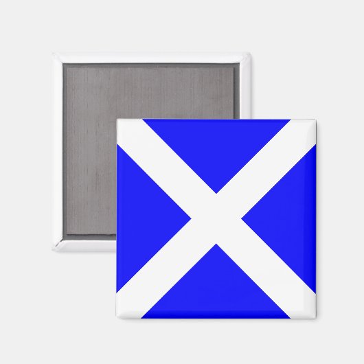 Mike航海の Magnetにフラグ「M」を設定 マグネット (正面/裏面)