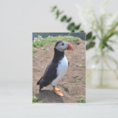 Mike Paget著「Huffin」Puffin ポストカード (スタンド正面)