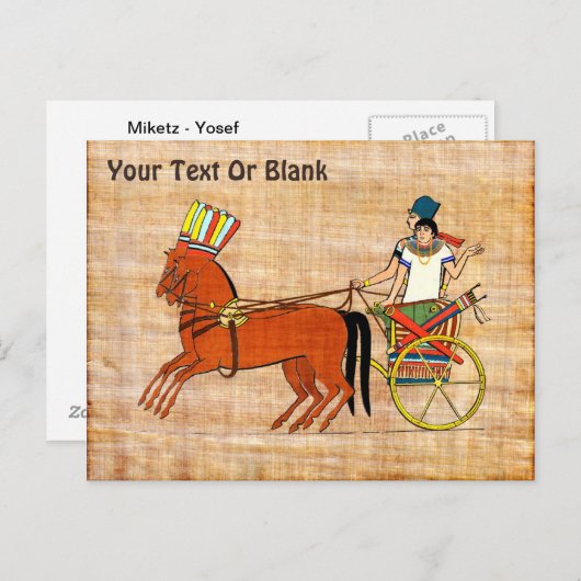 Miketz – ジョセフのチャリオット ポストカード (正面/裏面)