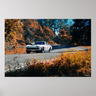 Mil cumbres dowhill (La Mexican Race) ポスター