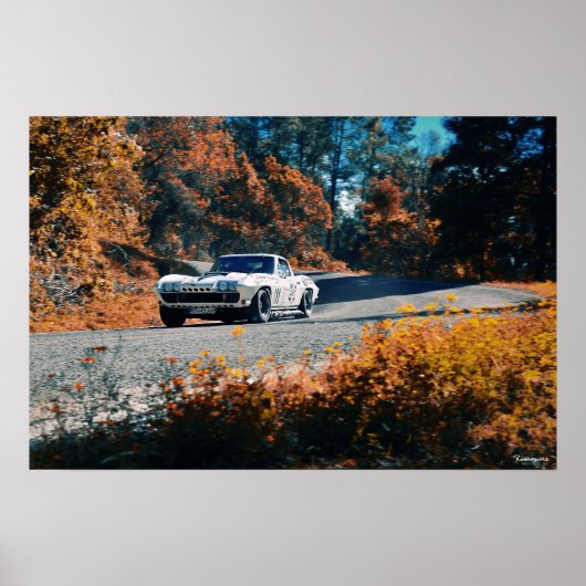 Mil cumbres dowhill (La Mexican Race) ポスター (正面)