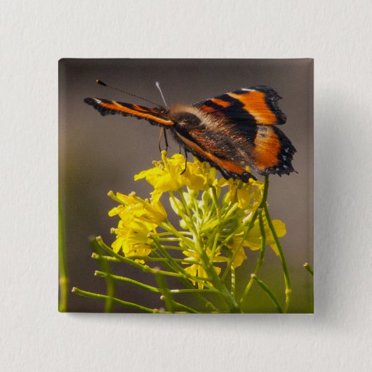 MilbertのTortoiseshell蝶クローズアップの写真 缶バッジ (正面)