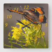 Milbert's Tortoishell Butterflyクローズアップ写真 スクエア壁時計 (正面)