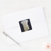 Miletus、紀元前のc.480からの男性の胴 スクエアシール (封筒)