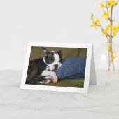 Mileyは悩みます カード (黄色い花)