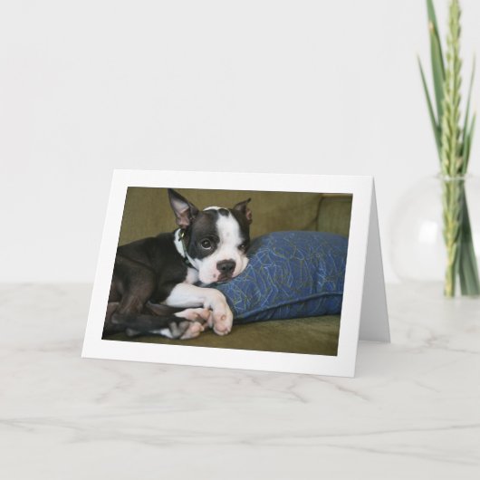 Mileyは悩みます カード (正面)