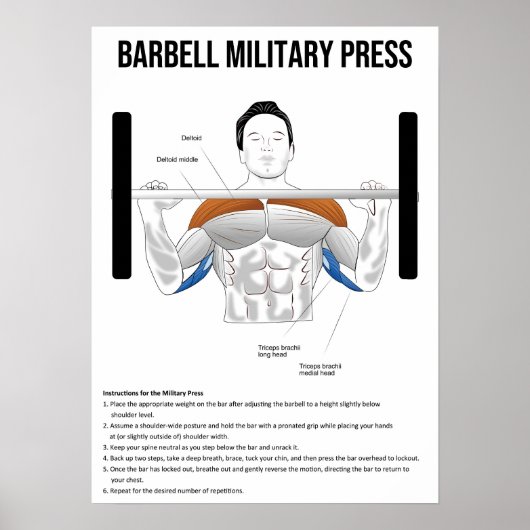Military Press - Exercise - Muscle Anatomy Chart ポスター (正面)
