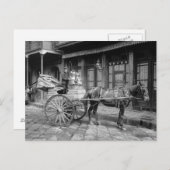 Milk Delivery Cart, 1903 ポストカード (正面/裏面)