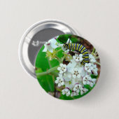 Milkweedおよび（昆虫）オオカバマダラ、モナーク 缶バッジ (正面&裏面)