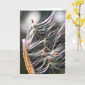 Milkweed Poof Carnival Ride Playful Nature カード (黄色い花)