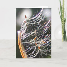 Milkweed Poof Carnival Ride Playful Nature カード