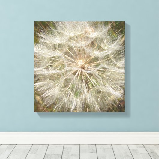 Milkweed Seed Podマクロ キャンバスプリント (インサイチュ (ウッドフロア))