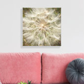 Milkweed Seed Podマクロ キャンバスプリント (インサイチュ (リビング))