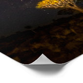 Milky Way Quiver Tree | Keetmanshoop Namibia ポスター (角)