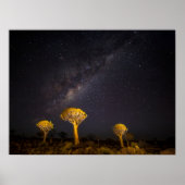 Milky Way Quiver Tree | Keetmanshoop Namibia ポスター (正面)