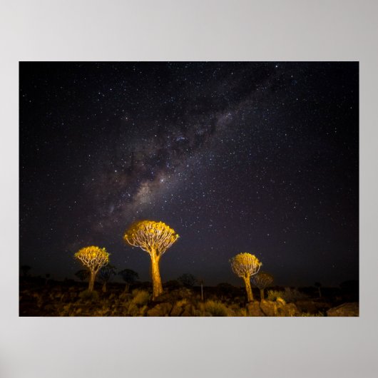 Milky Way Quiver Tree | Keetmanshoop Namibia ポスター (正面)