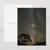 Milky Way with Tree | Ouray Colorado ポストカード (正面/裏面)