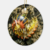 Millipede Polydesmida (Sigmoria aberrans)項目 セラミックオーナメント (左)