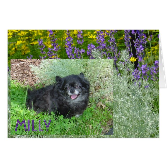 Millyのカード (正面横)