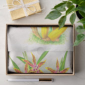 Miltonia Blunti (Orchid)by Jean Jules Linden 薄葉紙 (ギフト)