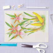 Miltonia Blunti (Orchid)by Jean Jules Linden 薄葉紙 (クラフト)