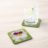 Miltoniopsis Roezlii (パンジー蘭) コースター (右側)