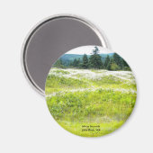 Mima Mounts、リトルロック、WA マグネット (正面/裏面)