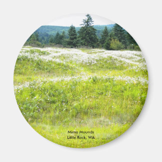 Mima Mounts、リトルロック、WA マグネット