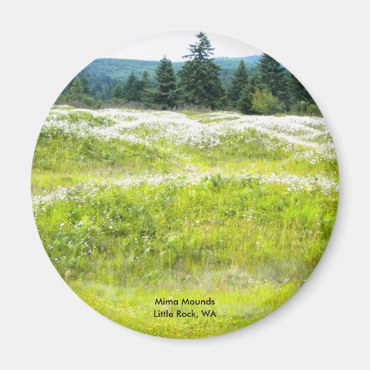 Mima Mounts、リトルロック、WA マグネット (正面)