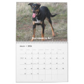 Mimiの動物園のカレンダー カレンダー (3月 2026)