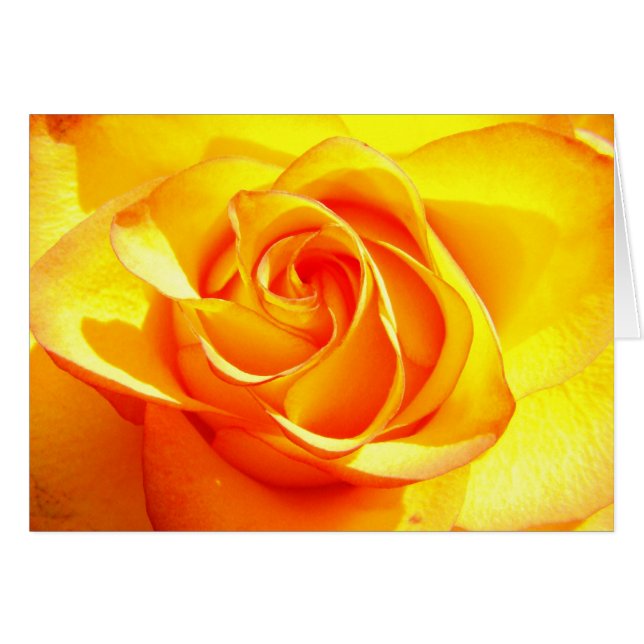 Mimi上がりました (正面横)