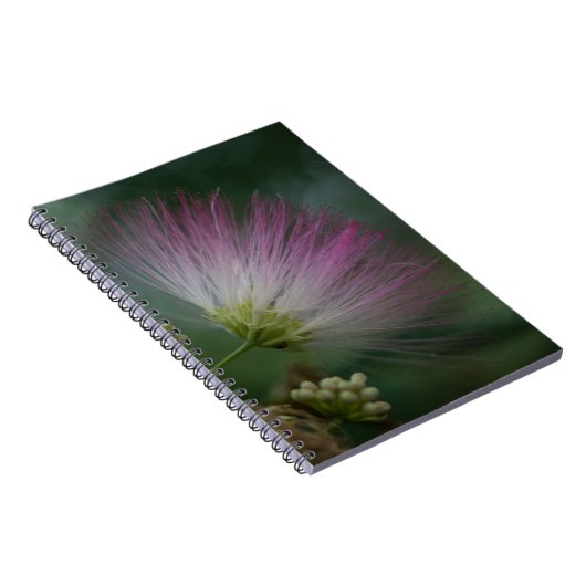 Mimosaの木のピンクの野生の花の花柄のノート ノートブック (右側)